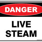 Danger Live Steam