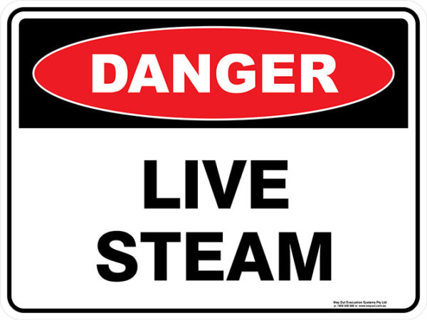 Danger Live Steam