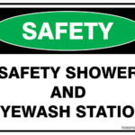 Safety Shower And Eyewash Station