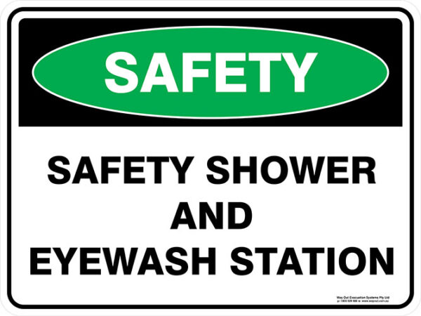 Safety Shower And Eyewash Station